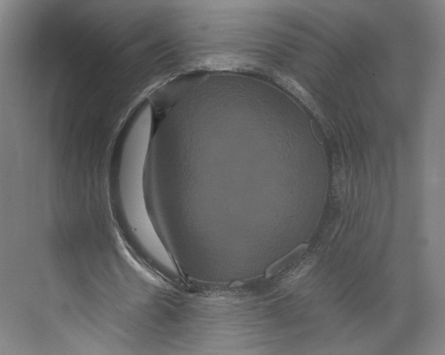 X0000071900530200608041345