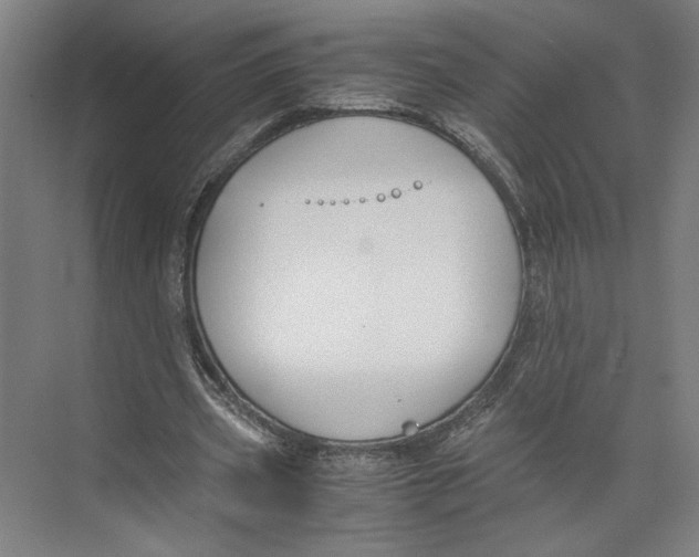 X0000071900533200608041345