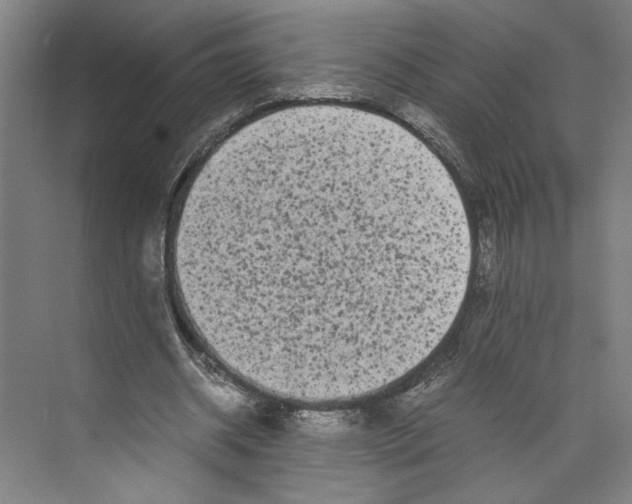 X0000071900534200608041345