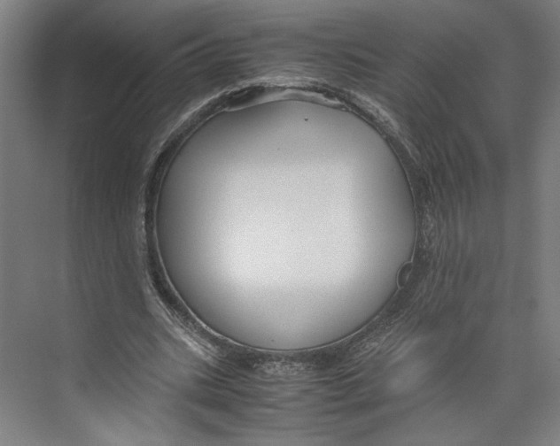 X0000071900535200608041345