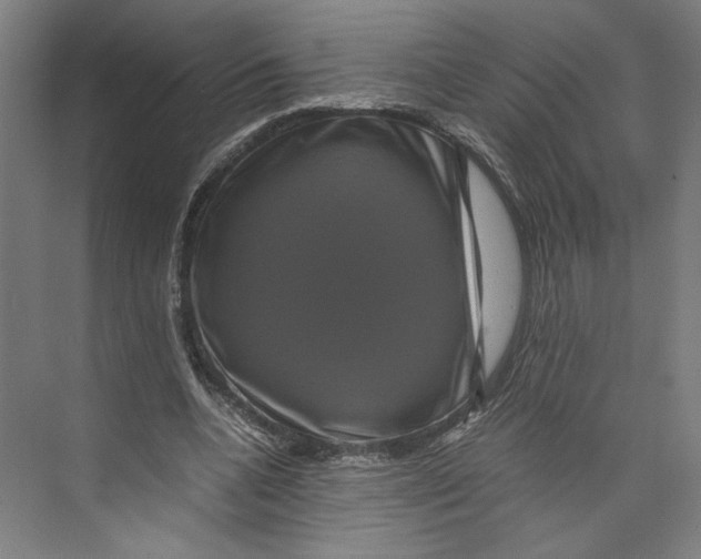 X0000071900536200608041345