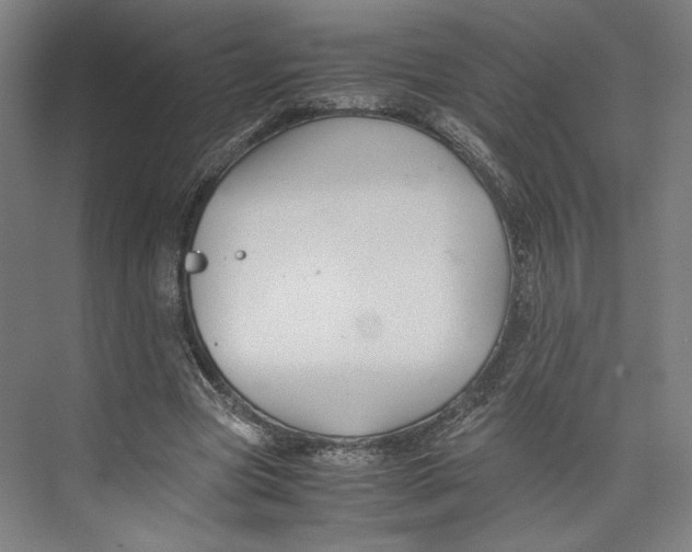 X0000071900537200608041345