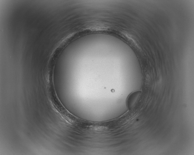 X0000071900539200608041345