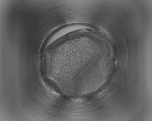 X0000071900540200608041345