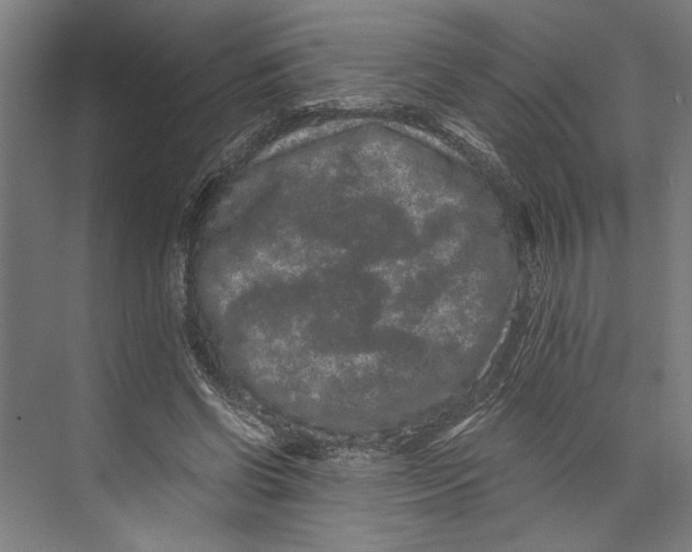 X0000071900542200608041345