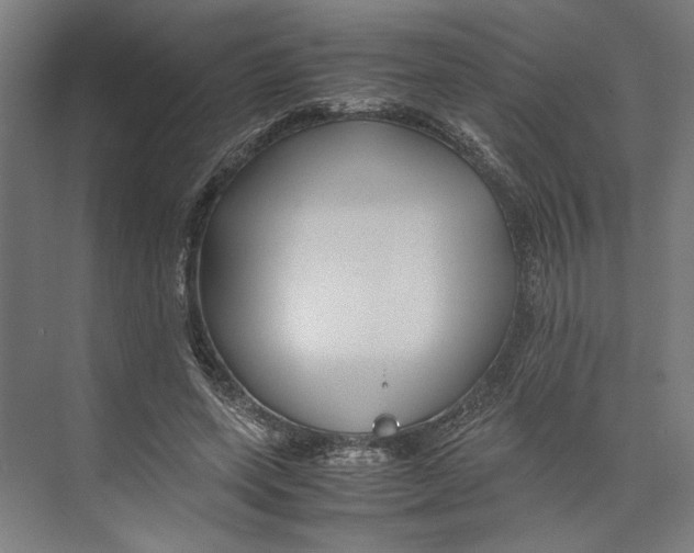 X0000071900543200608041345