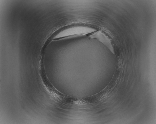 X0000071900544200608041345