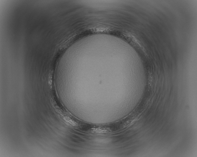 X0000071900545200608041345