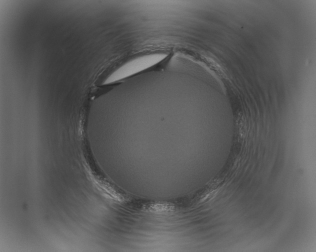 X0000071900546200608041345