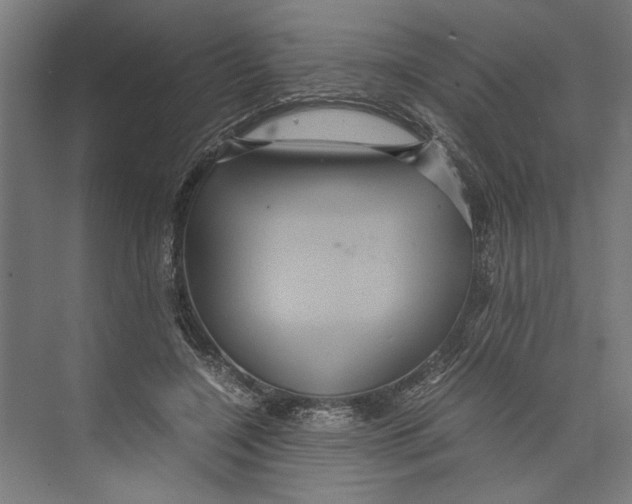 X0000071900548200608041345