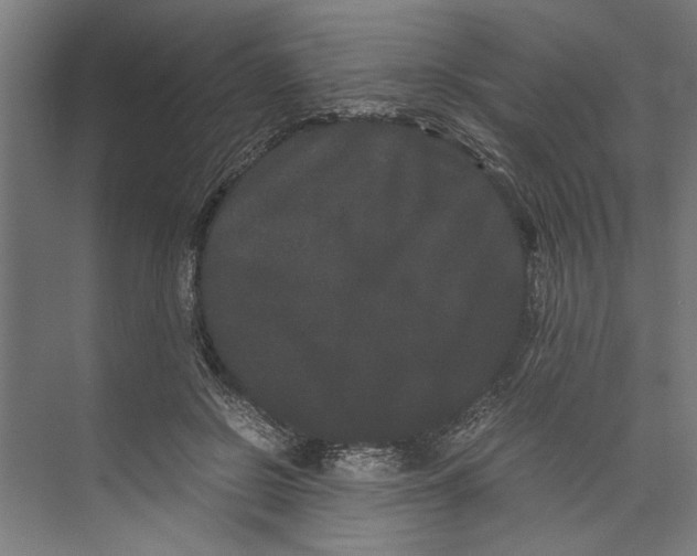 X0000071900550200608041345