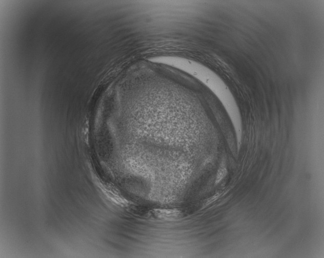 X0000071900552200608041345