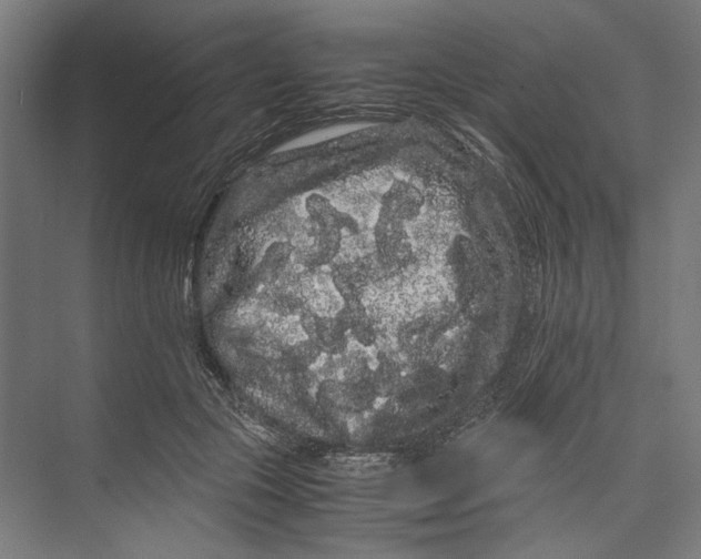 X0000071900553200608041345