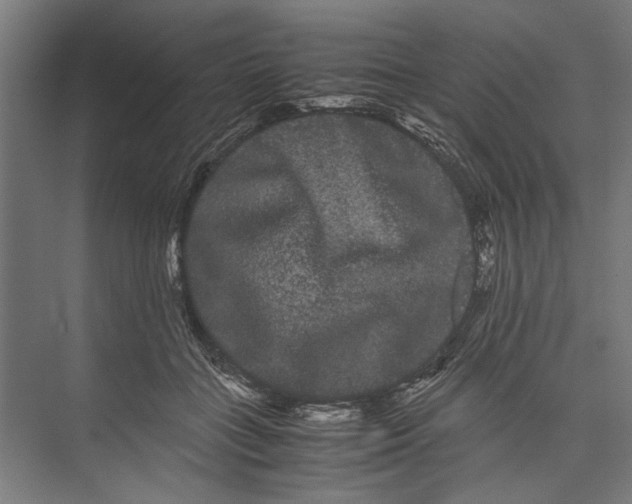 X0000071900555200608041346