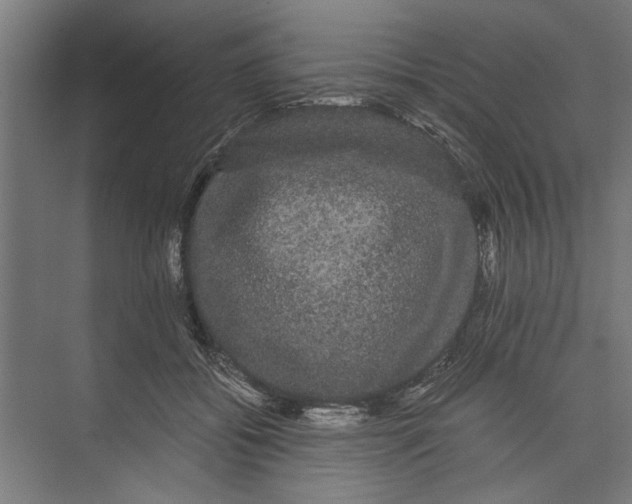 X0000071900556200608041346