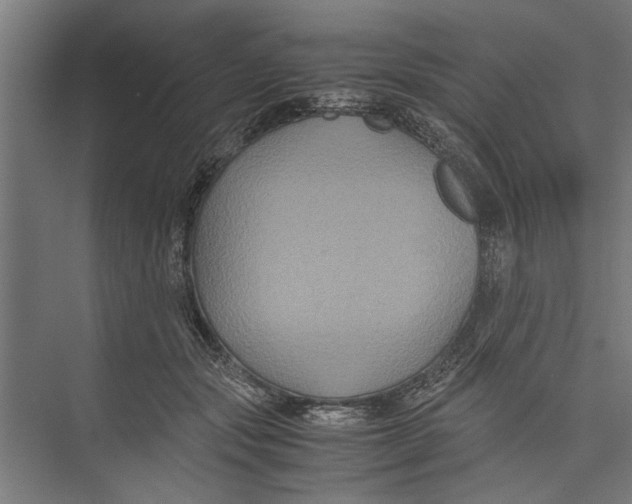 X0000071900557200608041346