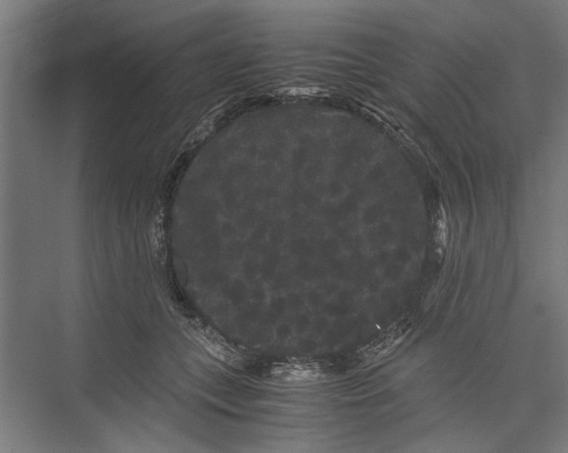 X0000071900559200608041346