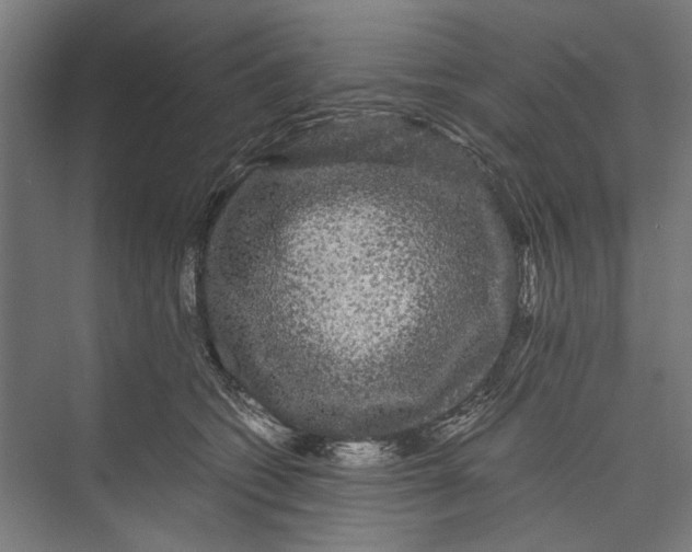 X0000071900562200608041346