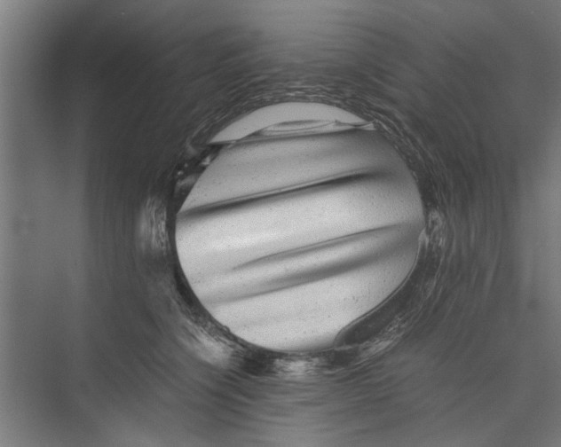 X0000071900564200608041346