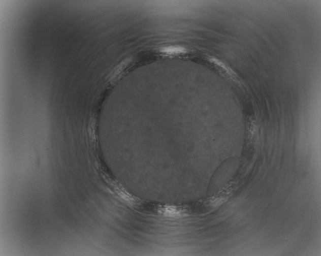 X0000071900565200608041346