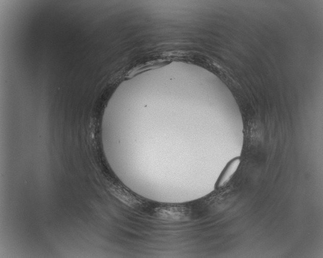 X0000071900567200608041346