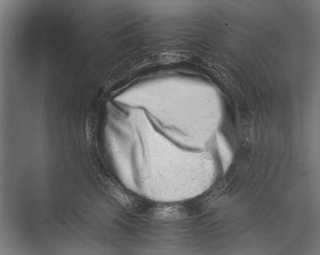 X0000071900569200608041346