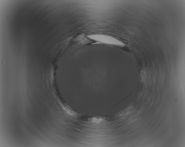 X0000071900570200608041346