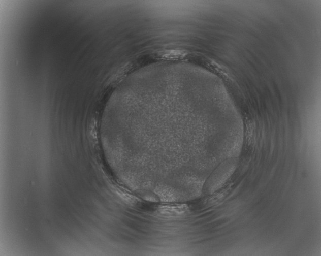 X0000071900571200608041346