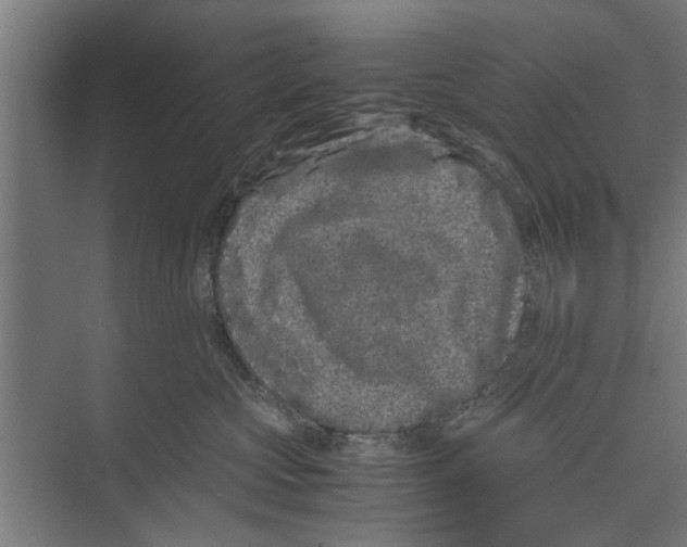 X0000071900573200608041346