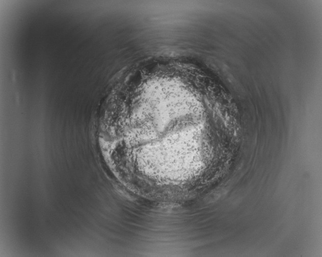 X0000071900576200608041346