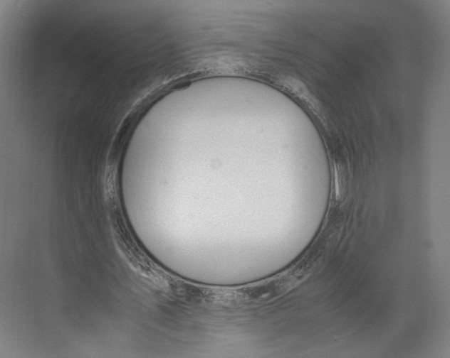 X0000071900579200608041345