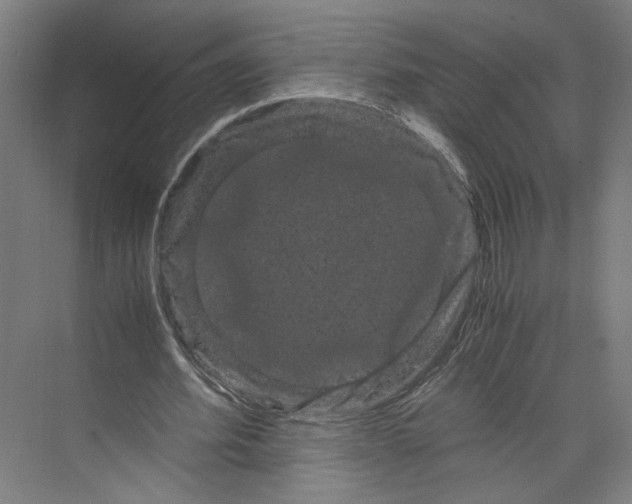 X0000071900580200608041345