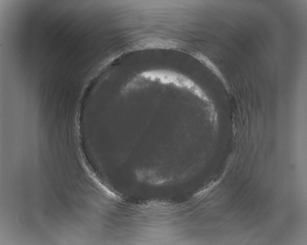 X0000071900581200608041345