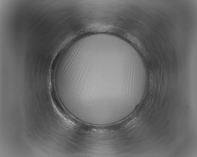 X0000071900582200608041345