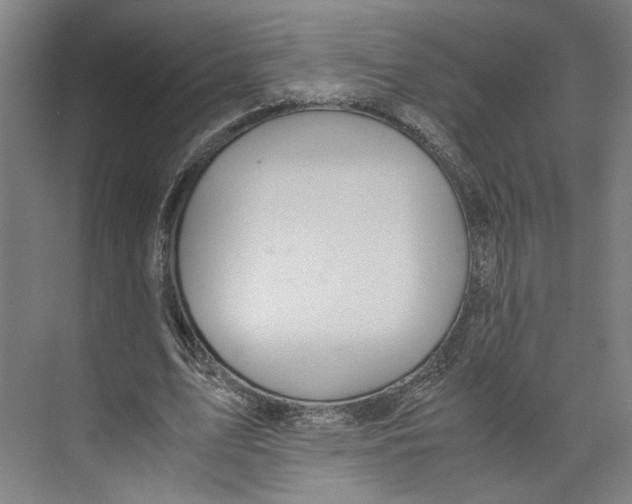 X0000071900583200608041345