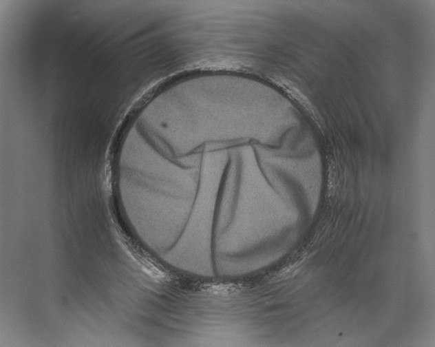 X0000071900584200608041345