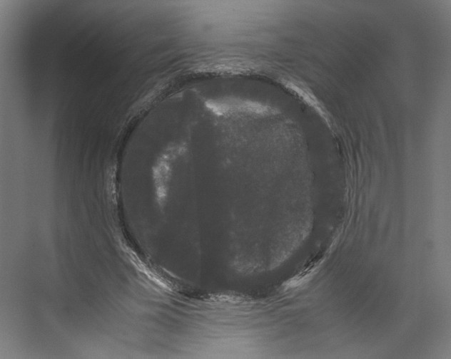 X0000071900585200608041345