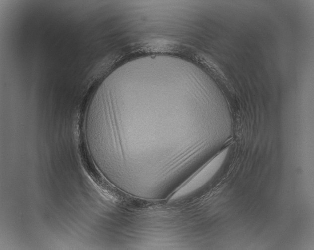 X0000071900586200608041345