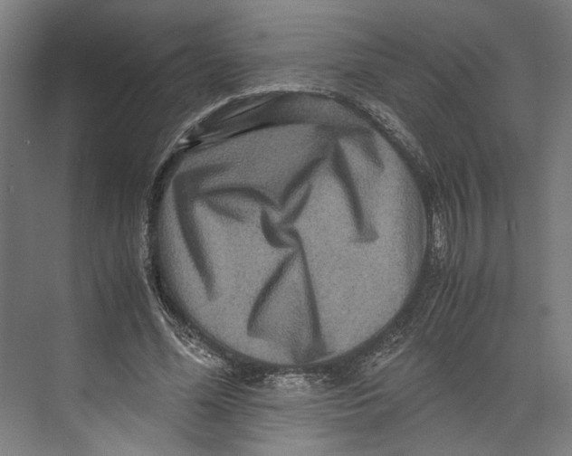 X0000071900588200608041345