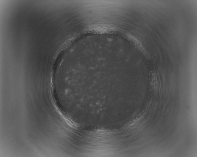 X0000071900590200608041345