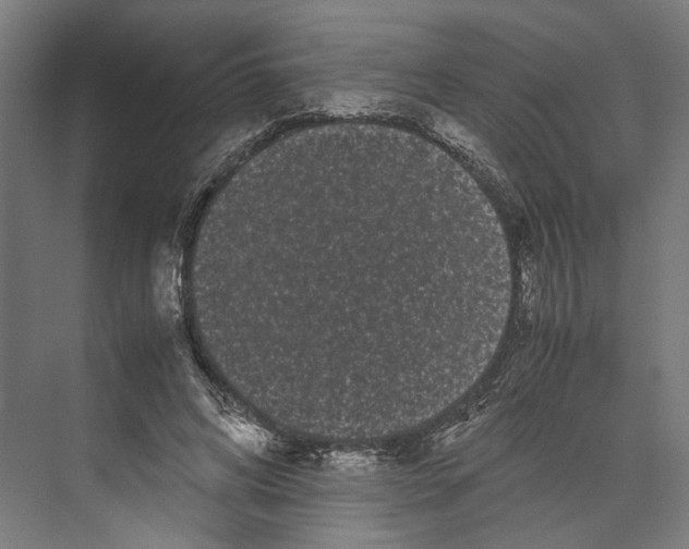 X0000071900592200608041345