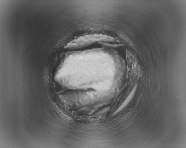 X0000071900593200608041345