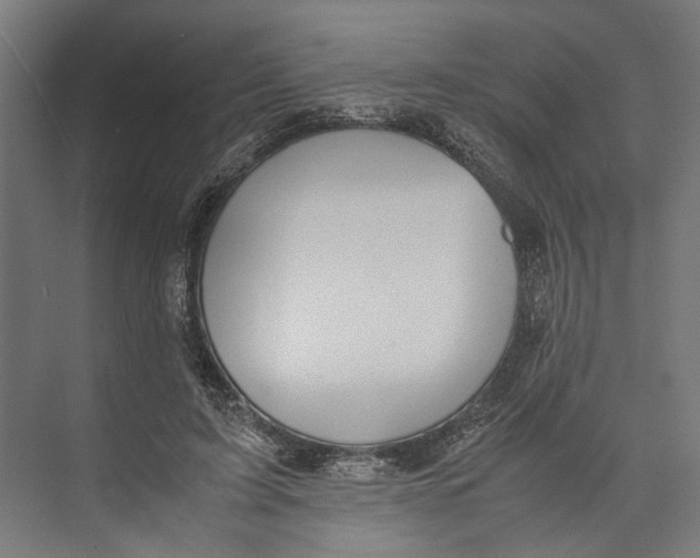 X0000071900595200608041345