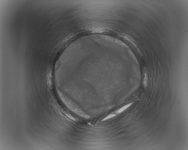 X0000071900596200608041345