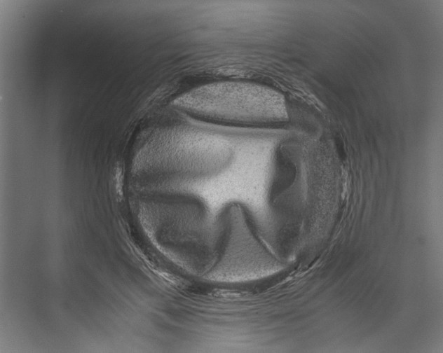 X0000071900597200608041345