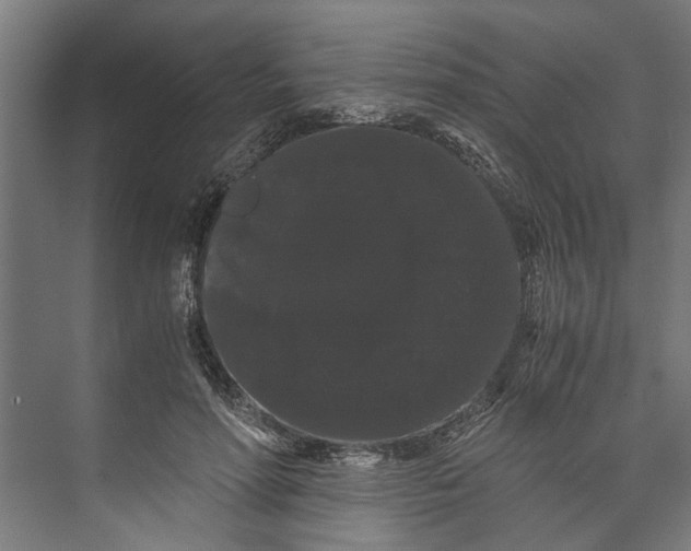 X0000071900598200608041345