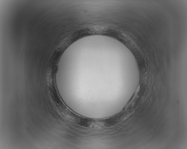 X0000071900599200608041345