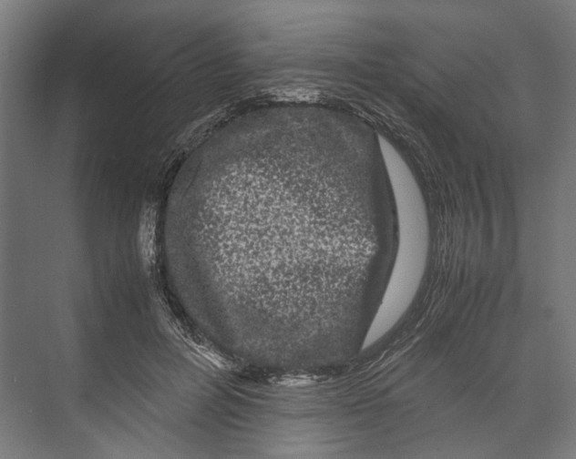 X0000071900600200608041345