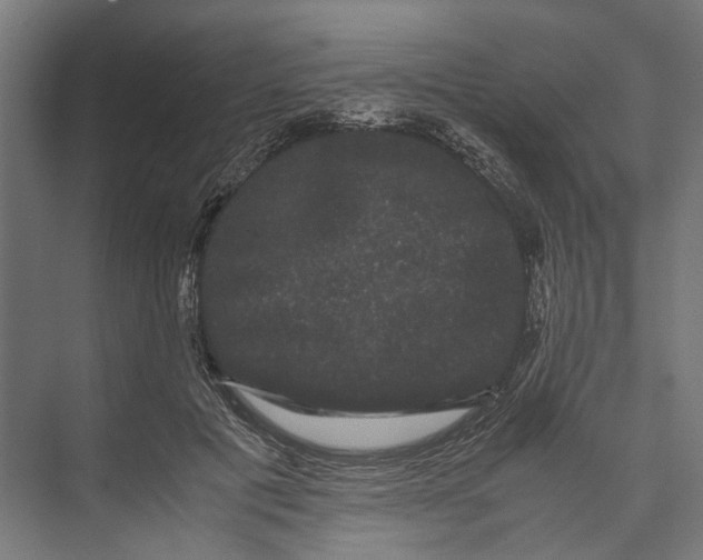 X0000071900601200608041345