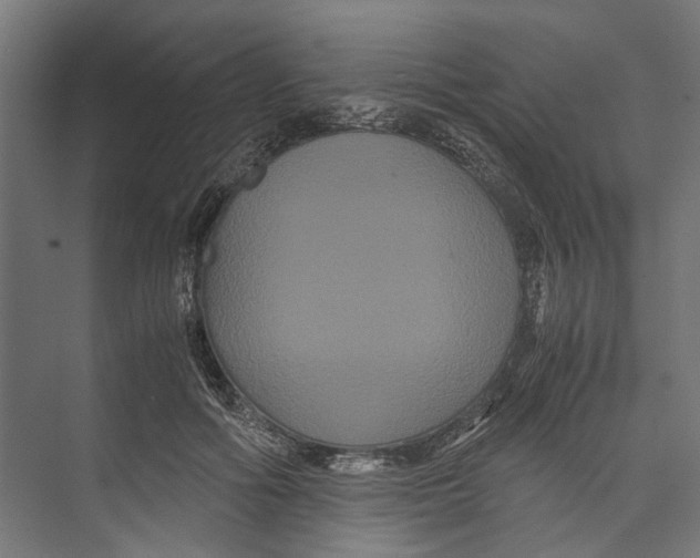 X0000071900602200608041345